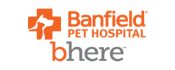Robin Akin voice over for banfield pet hospital